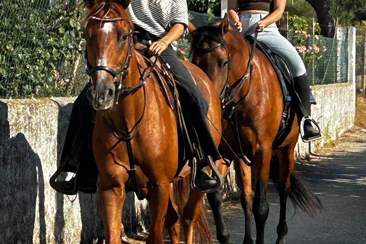 Horse Riding Tours in Central Portugal