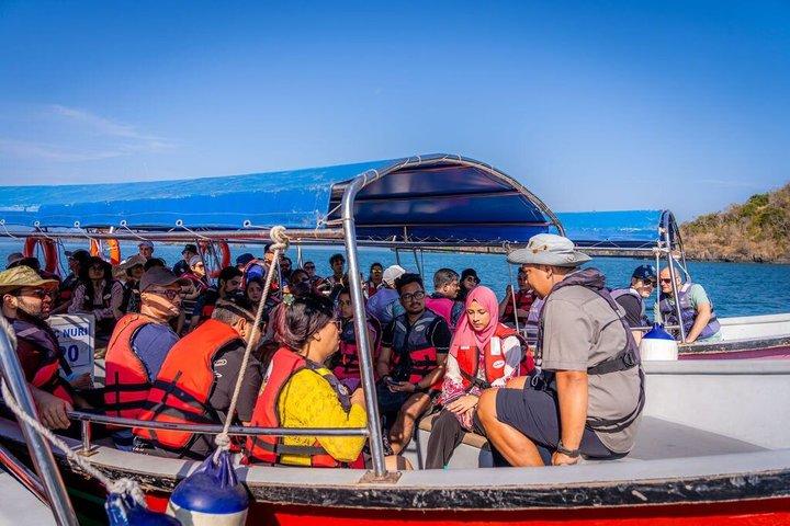 ダングリ島でのランチ付きランカウイマングローブ6時間ツアー