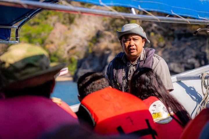 ダングリ島でのランチ付きランカウイマングローブ6時間ツアー
