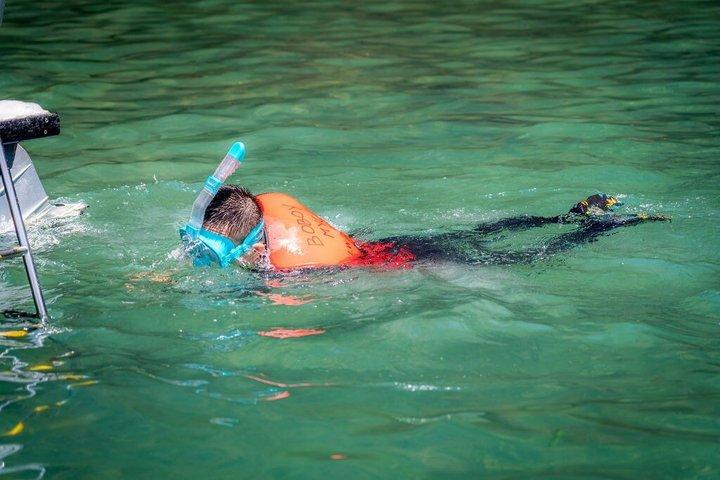 ダングリ島でのランチ付きランカウイマングローブ6時間ツアー
