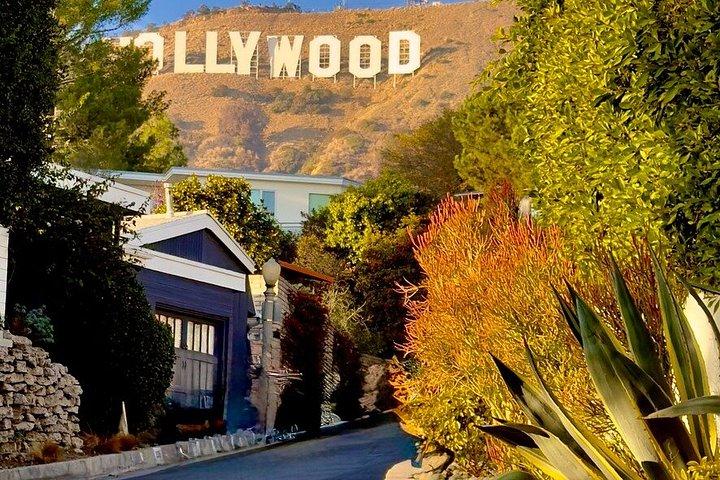 Hollywood Sign : Scott E-Bike Tours ロサンゼルスプライベートツアー