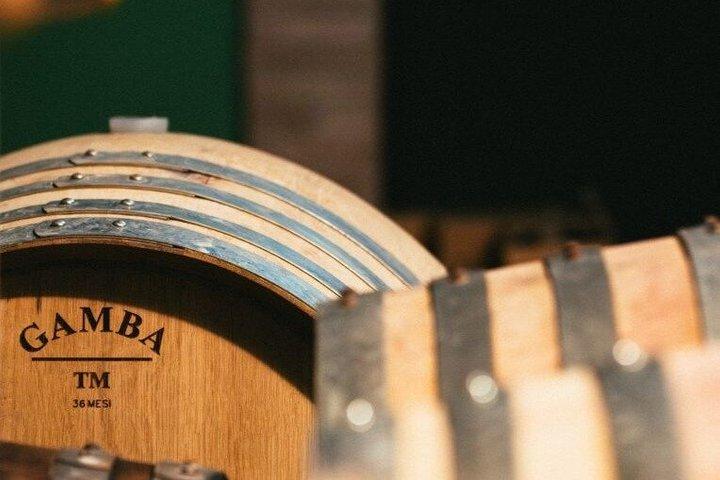 Cata de vinos y aceite de oliva virgen extra y la esencia de Umbría.