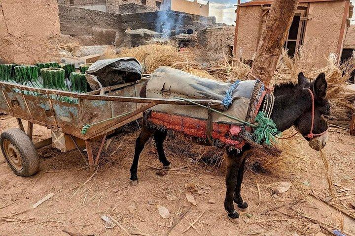 3 - Authentische Erg Chigaga Wüstentour ab Marrakesch