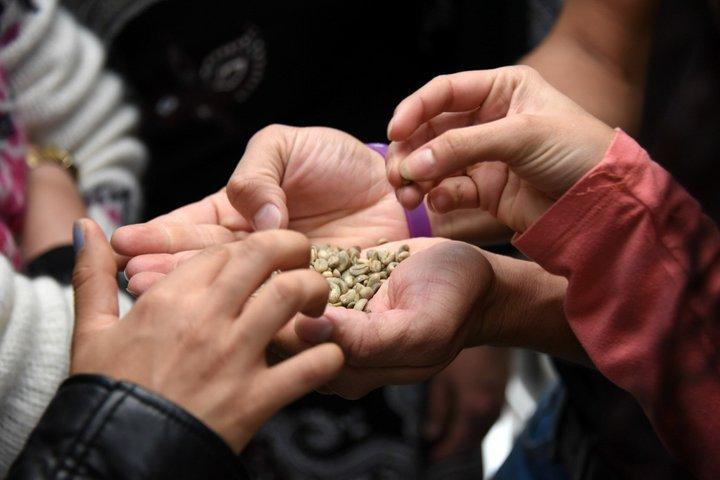 Specialty Coffee Workshops in Bogota
