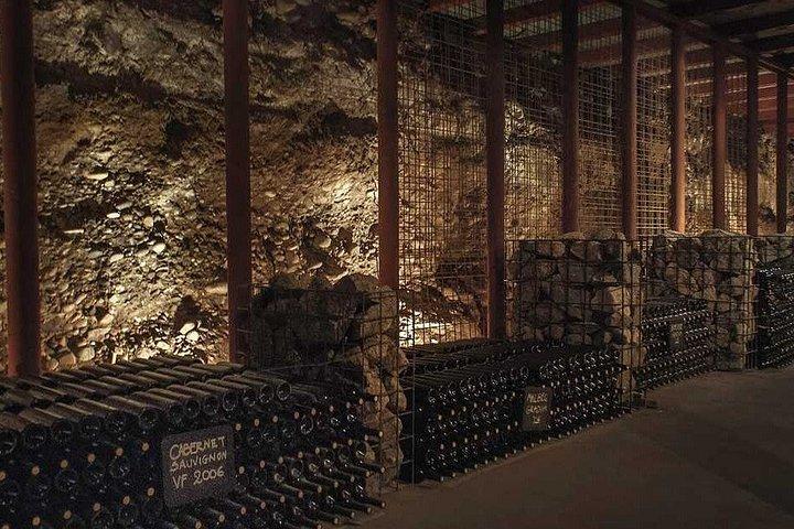 メンドーサのブドウ園ツアー：ワイン＆オリーブオイル試飲体験