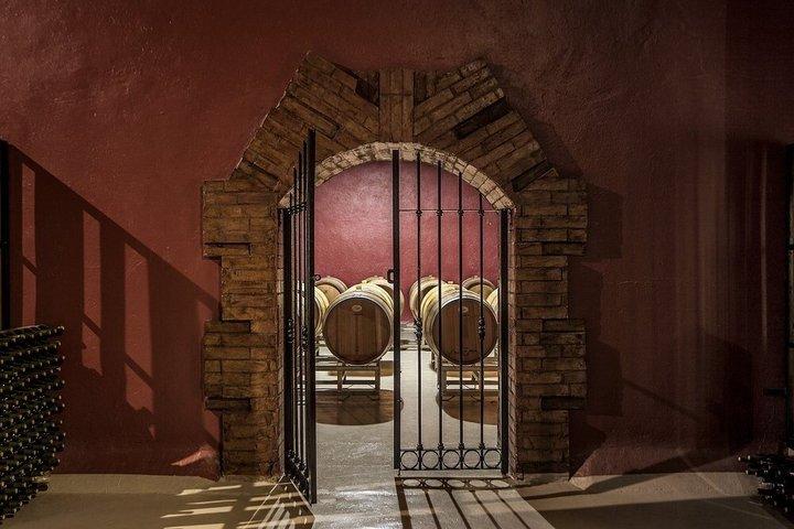 Weinbergstour in Mendoza : Wein- und Olivenölverkostung