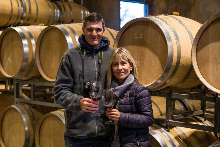 Weinbergstour in Mendoza : Wein- und Olivenölverkostung