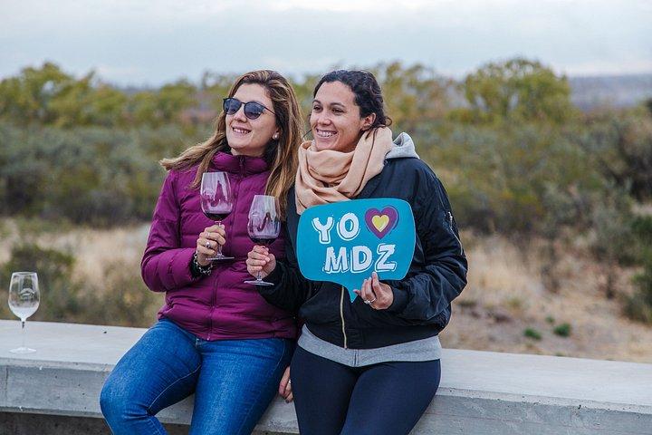 メンドーサのブドウ園ツアー：ワイン＆オリーブオイル試飲体験