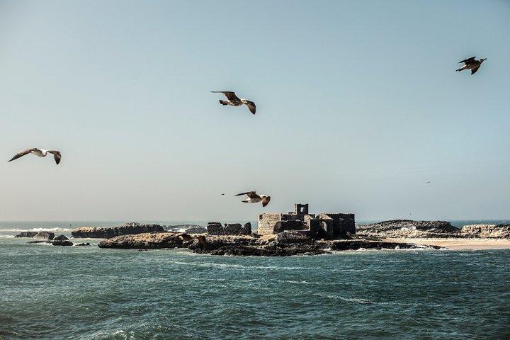 Souk Stories Essaouira Food Tour met 15 + Proeverijen