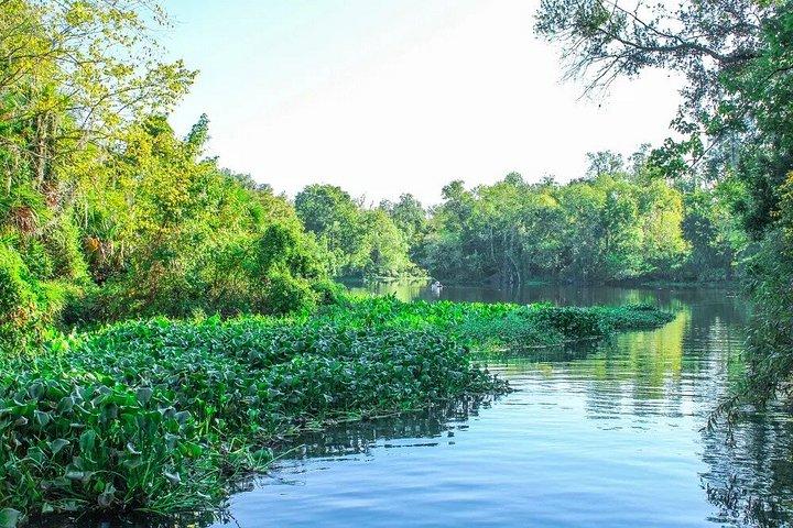 ウェキワスプリングス州立公園タンデムカヤックレンタル