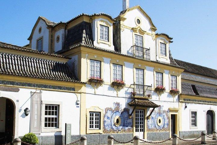 Setúbal Private Wine Experience Deux caves et dégustations