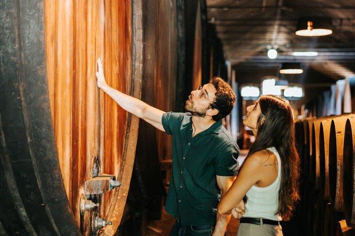 Setúbal Private Wine Experience Deux caves et dégustations