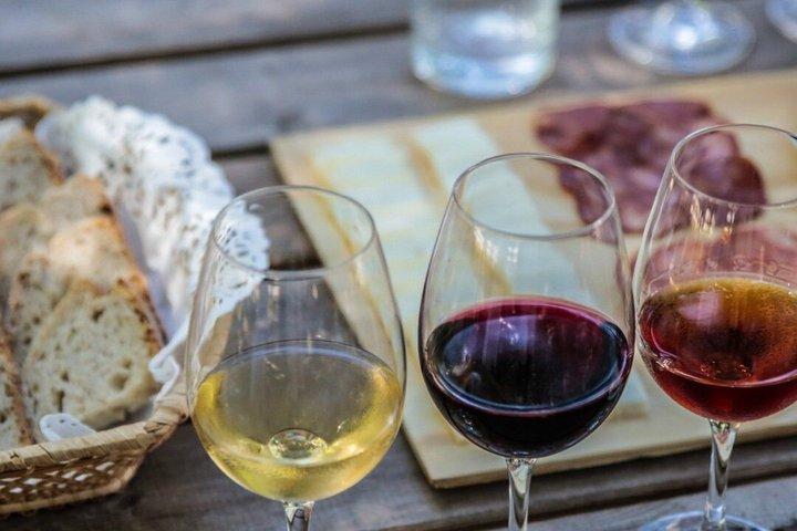 Setúbal Private Wine Experience Deux caves et dégustations