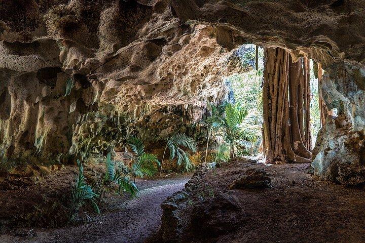 グランドケイマンのエイとヒトデ、クリスタルケイブオプション付き