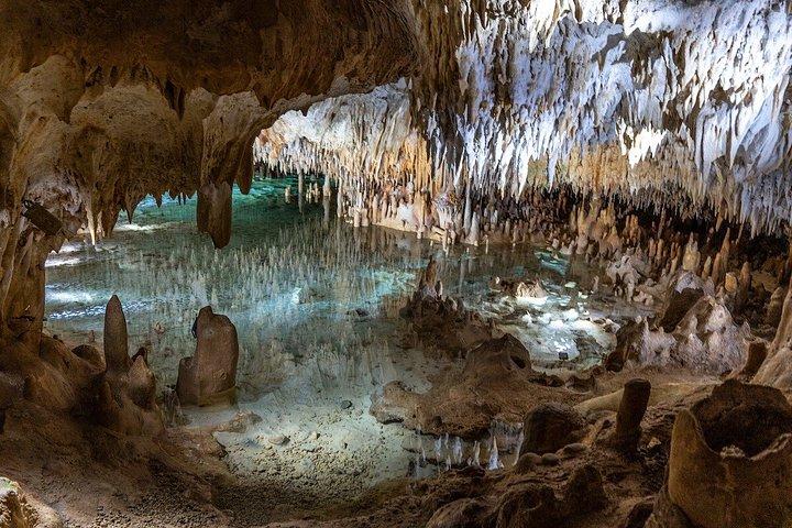 グランドケイマンのエイとヒトデ、クリスタルケイブオプション付き