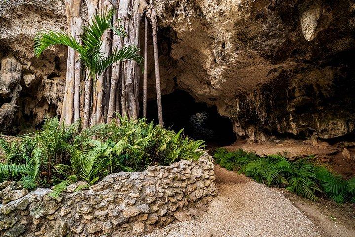 グランドケイマンのエイとヒトデ、クリスタルケイブオプション付き