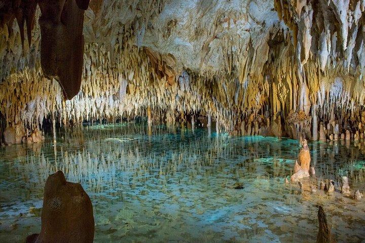 グランドケイマンのエイとヒトデ、クリスタルケイブオプション付き