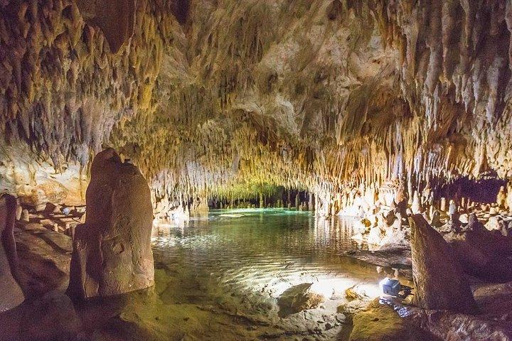 グランドケイマンのエイとヒトデ、クリスタルケイブオプション付き