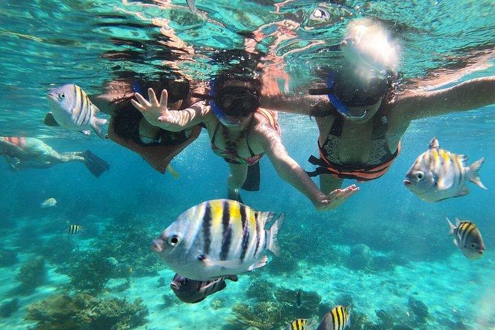 グランドケイマンのエイとヒトデ、クリスタルケイブオプション付き