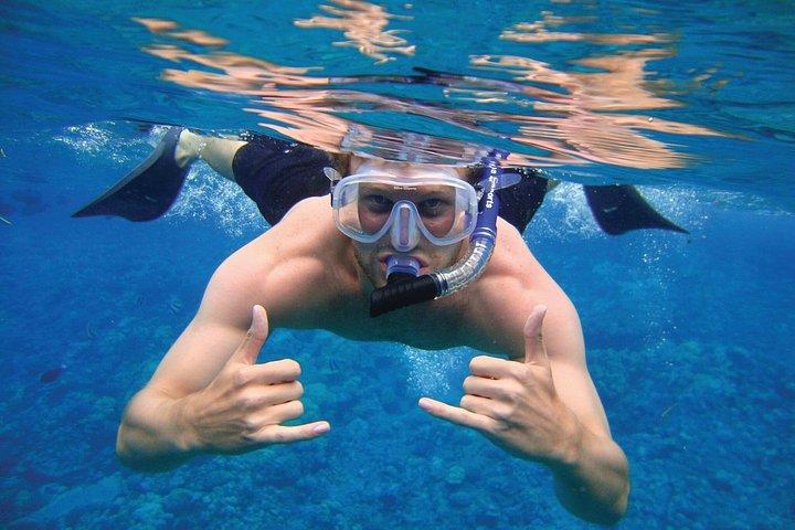 グランドケイマンのエイとヒトデ、クリスタルケイブオプション付き