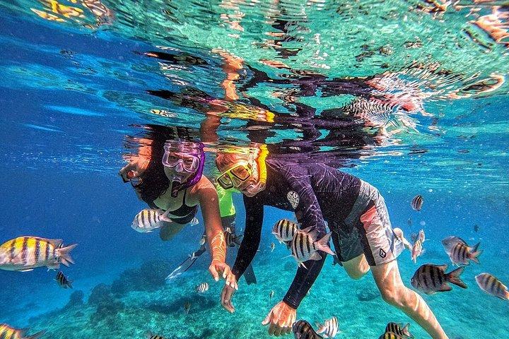 グランドケイマンのエイとヒトデ、クリスタルケイブオプション付き