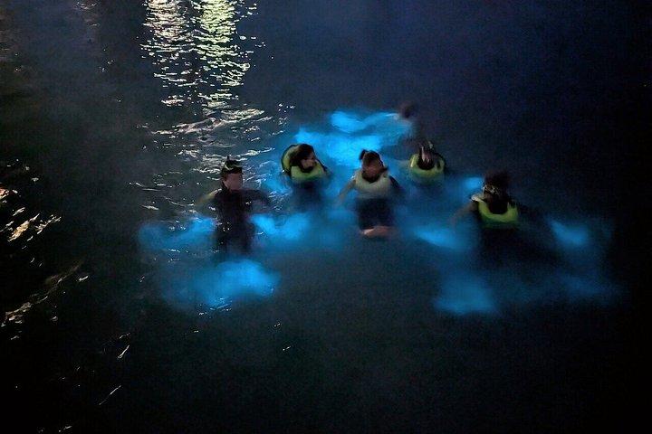 Grand Cayman Bioluminescence Boat Tour and Starfish Point
