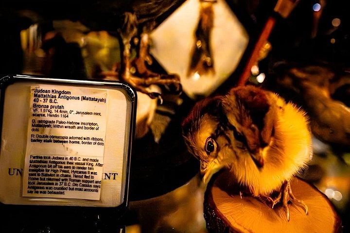 小川翔との暗中クローズアップ後のマジカルミステリーショー