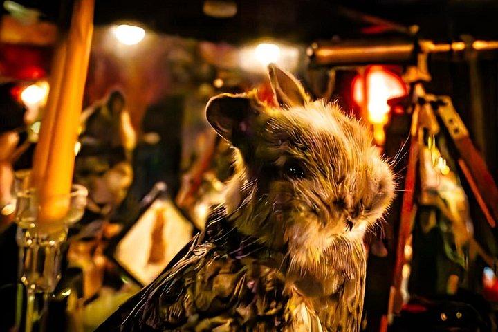 小川翔との暗中クローズアップ後のマジカルミステリーショー