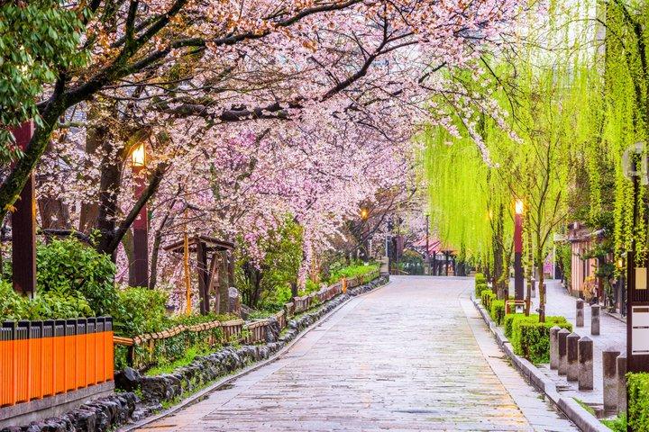 Kyoto: Conoce a la Geisha Maiko con Gion Walking Tour