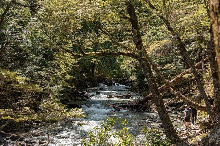Mt Aspiring Jet Boat & Wilderness Walk - Kleingruppe, Wanaka