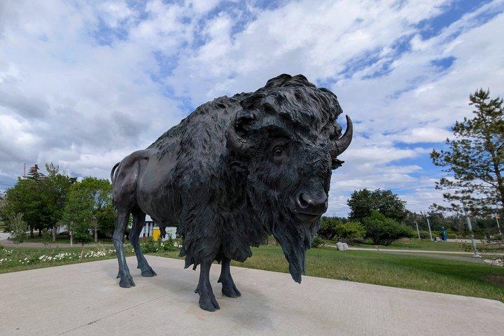 Calgary Landmarks and History Private Walking Tour