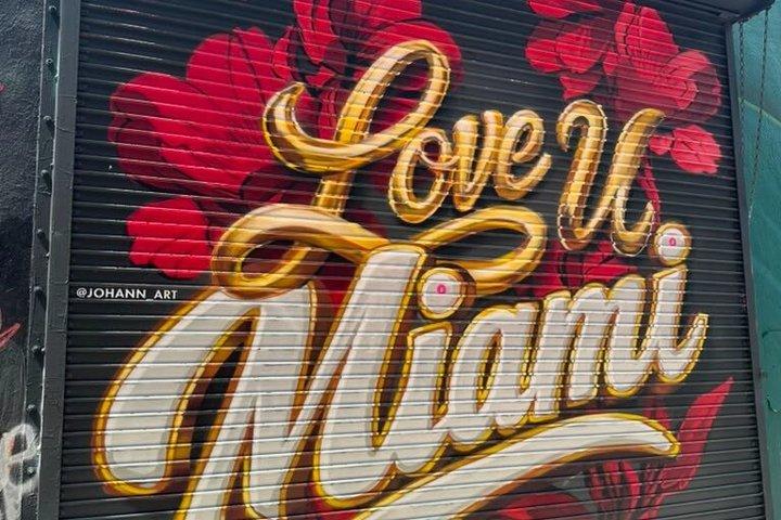 Veja tudo em um tour!! 6h VIP experiência completa de Miami!!