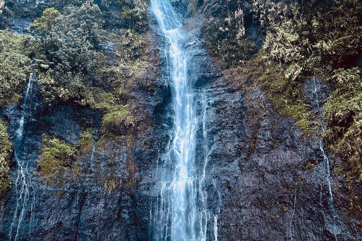 タヒチ島、4.5時間のガイド付きツアー、タヒチ・ヌイ島の東海岸と西海岸