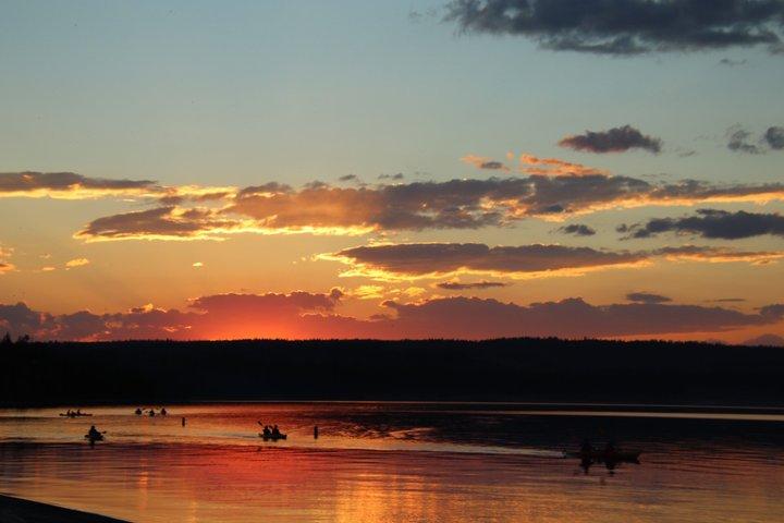 Lac Yellowstone et sources chaudes / Visite de 3 heures le matin ou au crépuscule