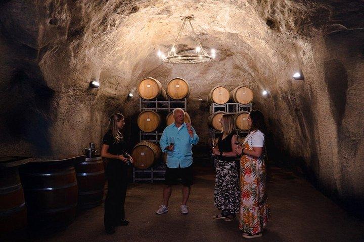 Tour en crucero y vino por Queenstown - 90 min TSS Earnslaw & 3 bodegas