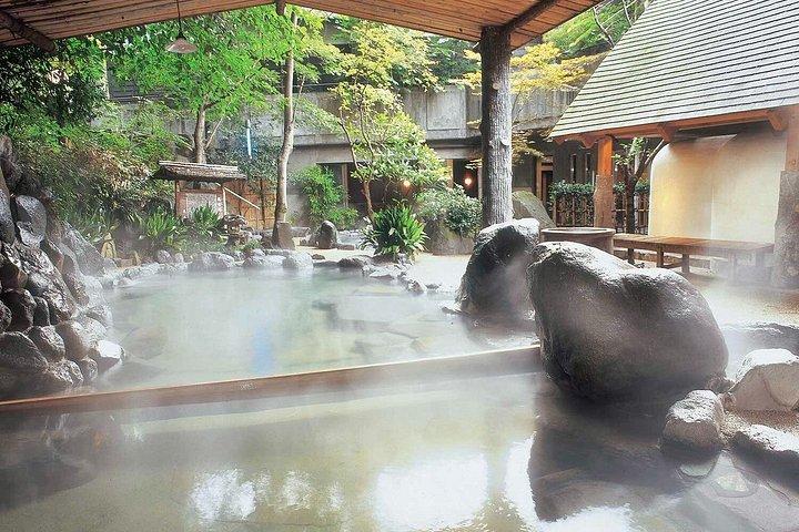 Hakone Private Highlights Tour von Tokio mit Auto und Fortgeschrittener