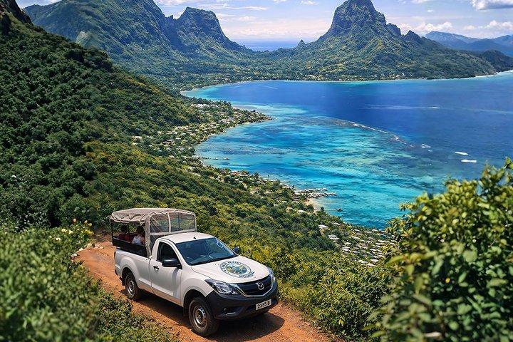Moorea 4WD Tour : Magic Mountain, Belvedere, Pineapple Road & mehr