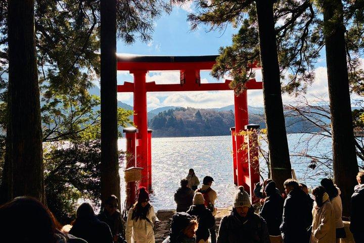 Hakone Private Highlights: Door-to-Door Full-Day Trip