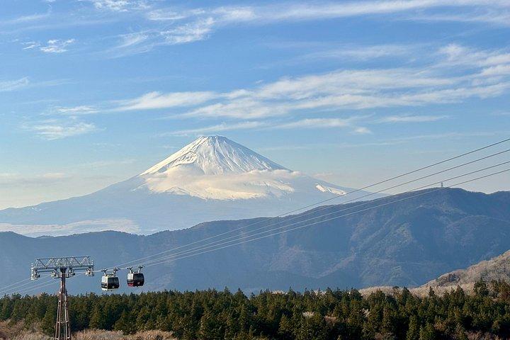 Hakone Private Highlights Tour von Tokio mit Auto und Fortgeschrittener