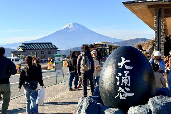 Hakone Private Highlights: Door-to-Door Full-Day Trip