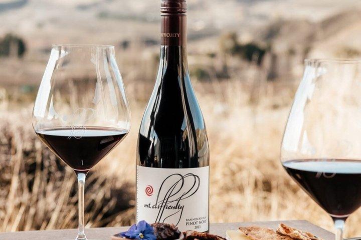Tour privato del vino boutique di Queenstown - 4 visite e pranzo alle cantine
