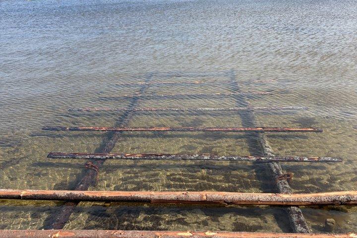 タリンからのロマンチックな北海岸、湾の国への日帰り旅行