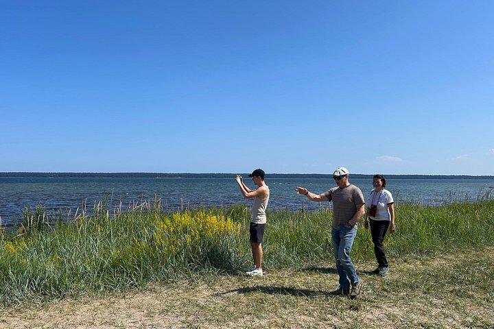 タリンからのロマンチックな北海岸、湾の国への日帰り旅行