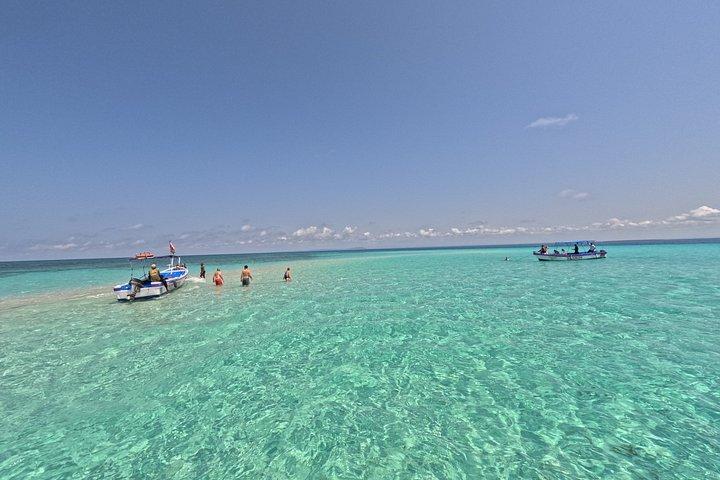 Tagesausflug zum Kisite Mpunguti Marine Park