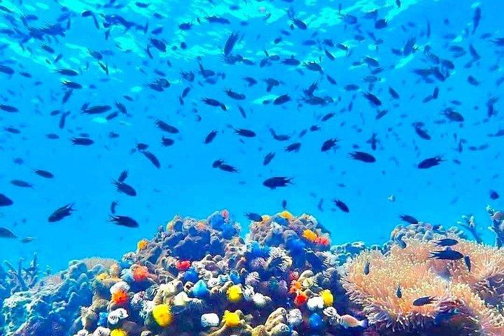 サムイ島発カヤック付きアーントーンスピードボートツアー