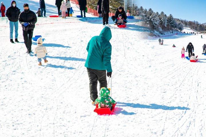 Tour en trineo por el valle de hielo y la nieve de Eobi desde Seúl