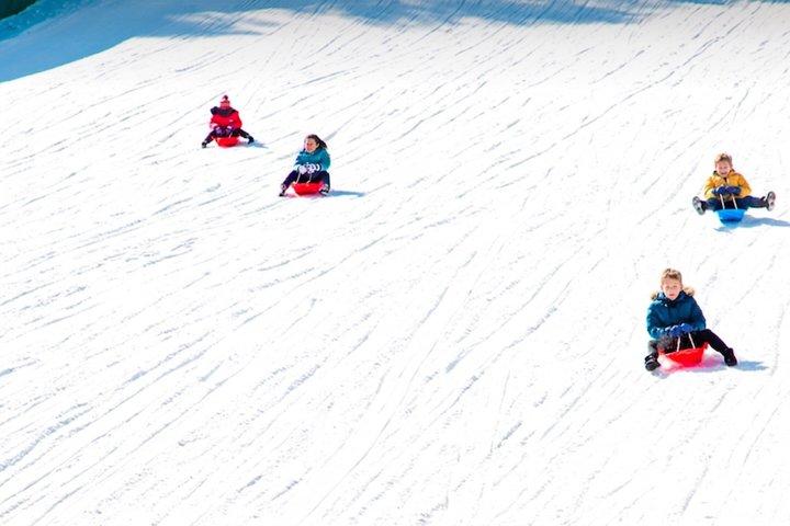 Tour en trineo por el valle de hielo y la nieve de Eobi desde Seúl