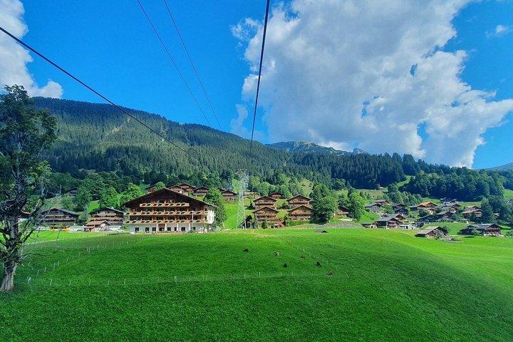 Mount First Cable Car and First Cliff Walk Grindelwald