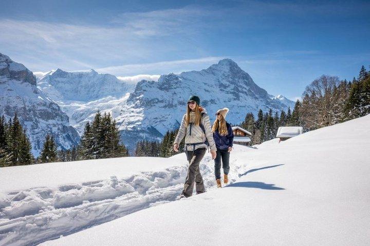 Hoteller i nærheden af Mount First Cable Car and First Cliff Walk Grindelwald