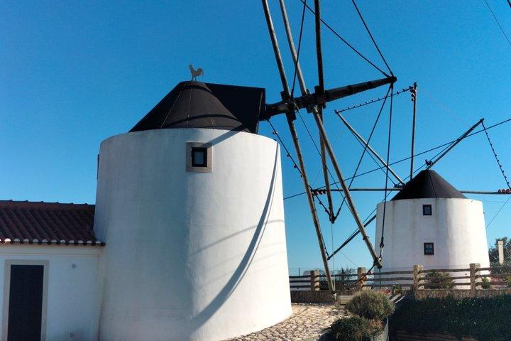 リスボン発恐竜とブリコポリスのテーマパーク半日旅行